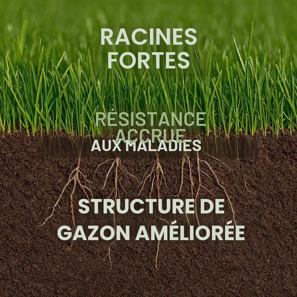GiDeli Sulfate de Fer 10kg in Eimer - Poudre Anti Mousse Abaisser le pH du sol - Améliorer l'aspect et la Couleur du Jardin. - Favorise le développement des plantes acidophiles