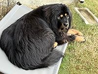 Review Image by Rebecca Rebecca