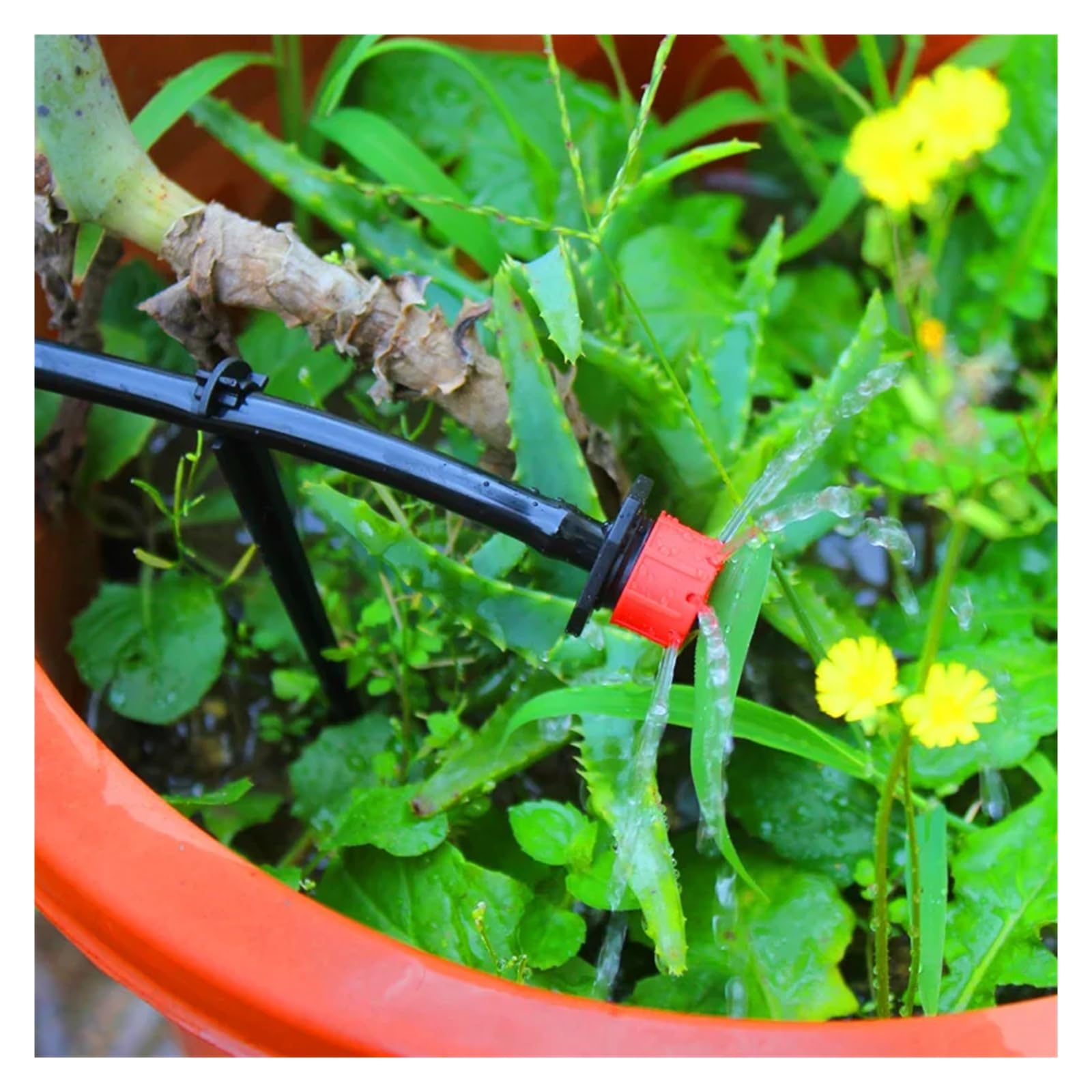 Accessori per navi Sistema di irrigazione a goccia da 5-40 m, set di irrigazione for piante, kit di irrigazione, gocciolatori regolabili for irrigazione micro Accessori per l'irrigazione(5 meters)