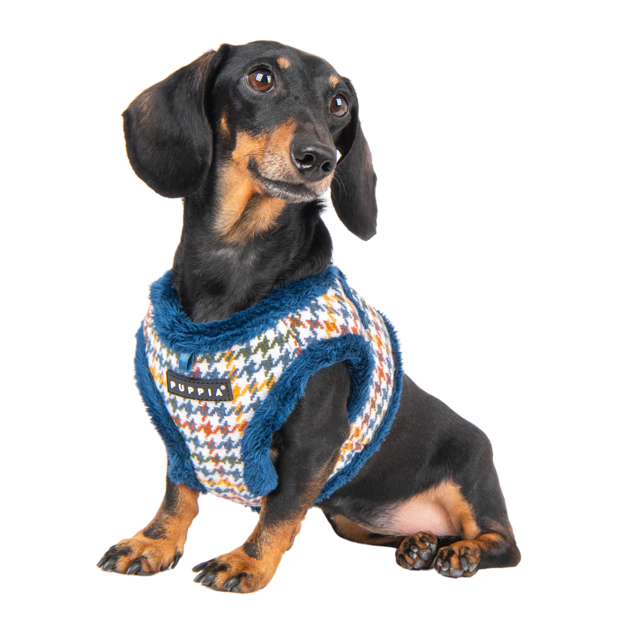 Puppia Ren kamizelka z szelkami dla psa, step-in, ciepła zimowa, wzór kwiatowy, dla małego i średniego psa, niebieska, rozmiar L
