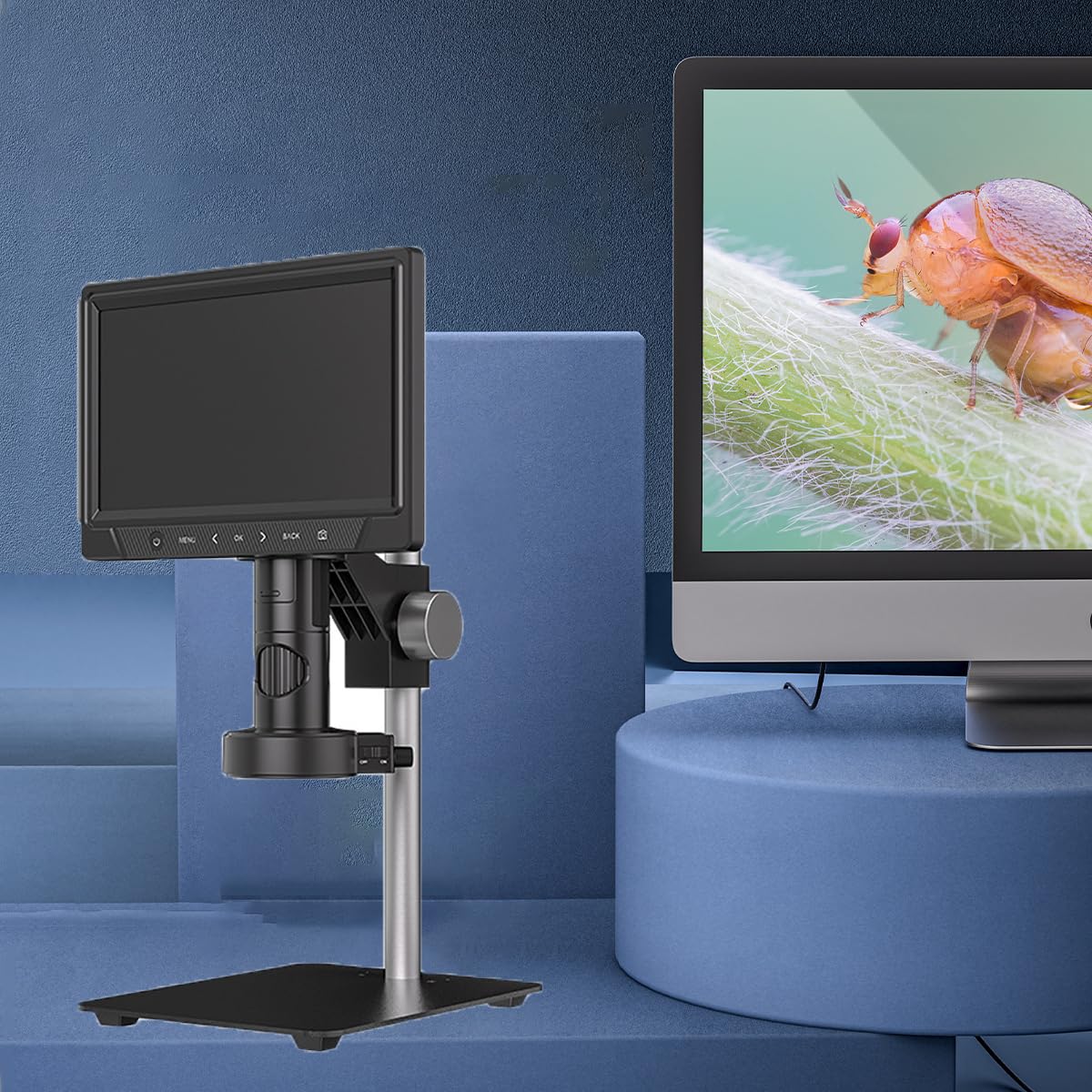 Microscopio electrónico para Adultos, 1600x, Equipos y Suministros de Laboratorio, microscopio de Enfoque con Pantalla Grande de 10 Pulgadas, se Puede transferir a través de una PC, 12 MP