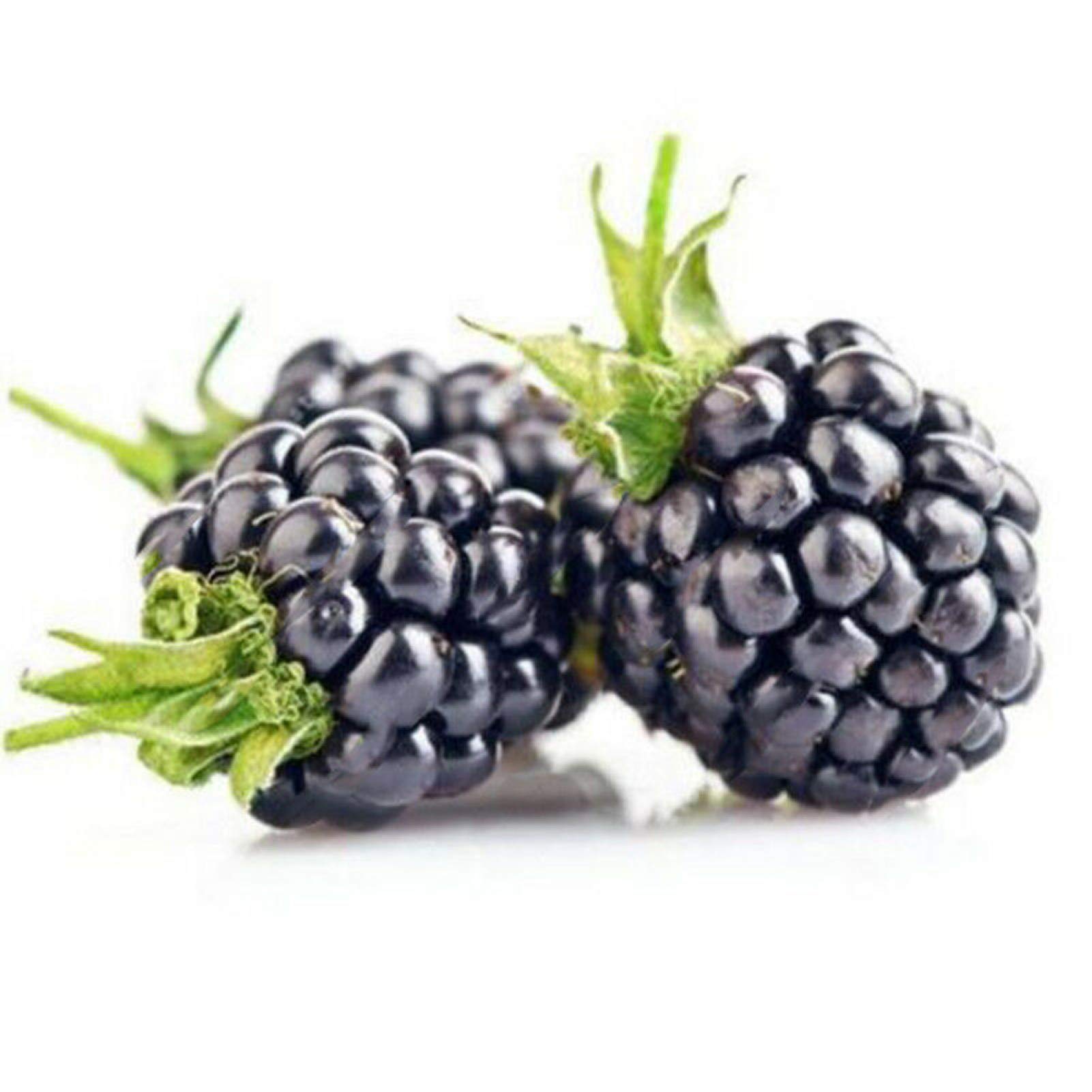 DFBTYG Fruit Seeds for Gardening-1000Pcs Raspberry Seeds Framberry Delicious Fruit Home Garden Yard Farm Plant - Black Raspberry Seeds