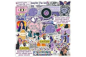 (50 Count) Taylor Swift Lyric Stickers for Water Bottles and Laptops