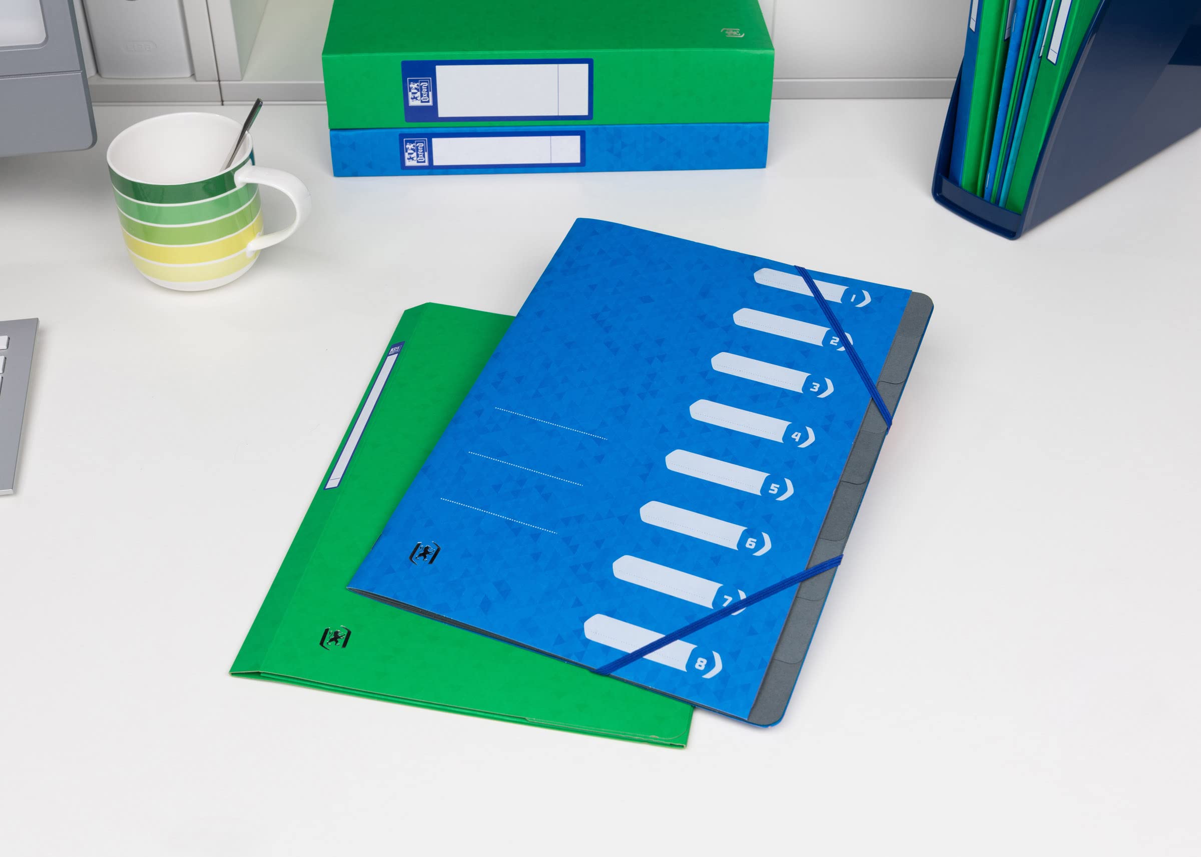 Oxford 400116251 - Carpeta archivadora, color azul 8 Fächer
