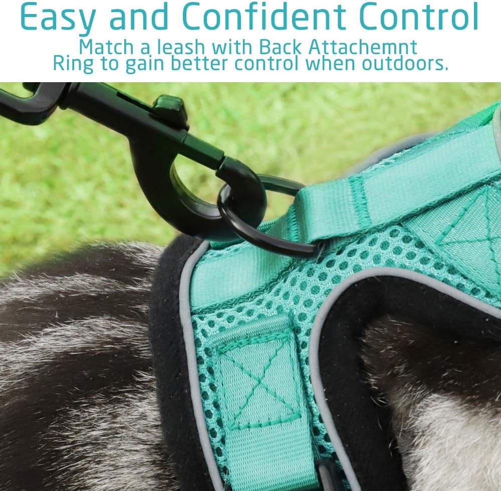 rabbitgoo Cat Harness Escape Proof, Adjustable Small Pets Vest Harnesses, No Choke No Pull Design for Best Safety and Comfort - Soft Mesh Kitten Puppy Harness with Reflective Strips, Emerald