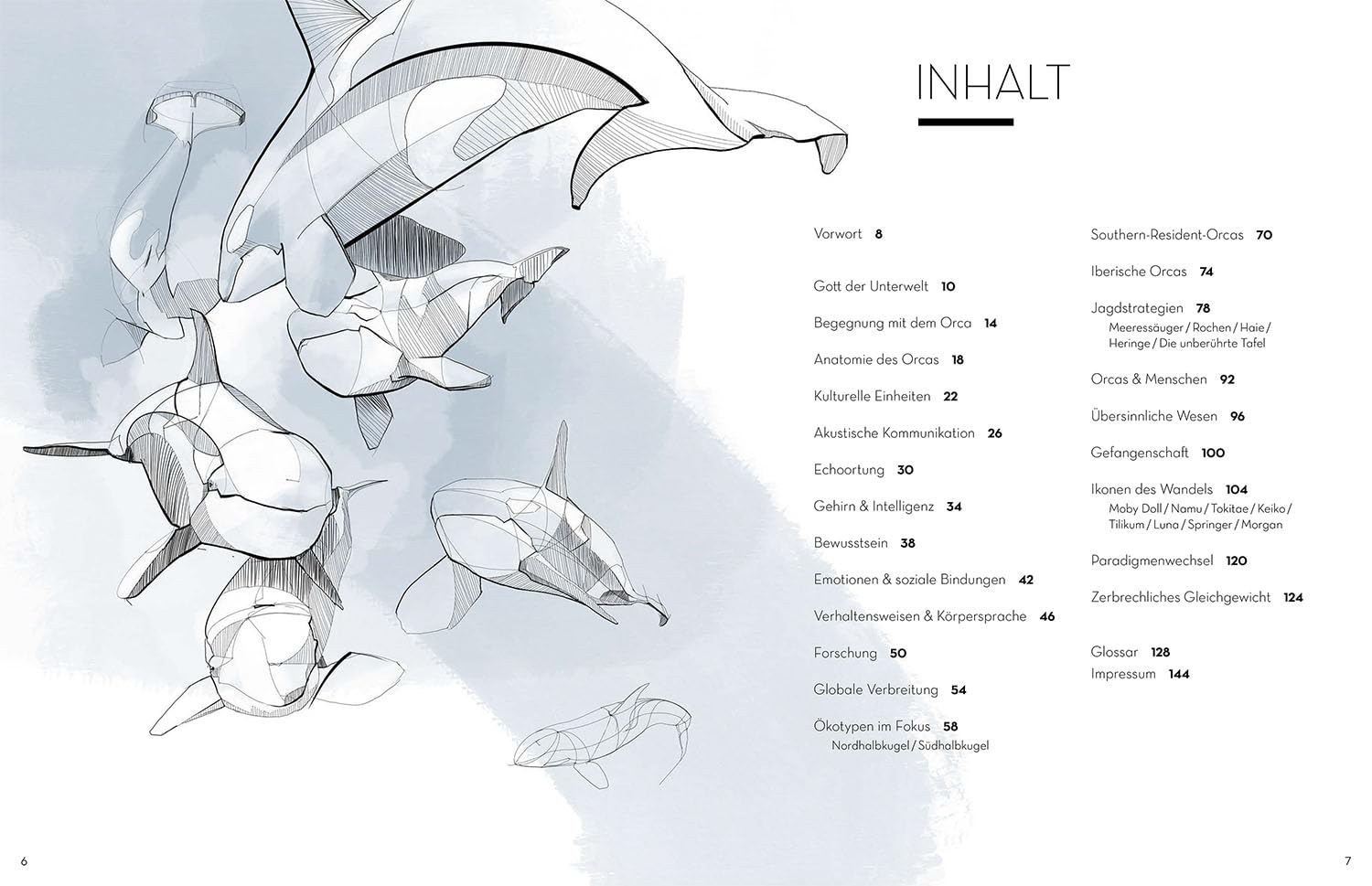 Orca: Majestät der Tiefe - Eine visuelle Reise in die Welt der Orcas. Wissensfakten erklärt anhand ästhetisch-emotionaler Illustrationen. Extra: Stories über die bekanntesten Orcas aller Zeiten.