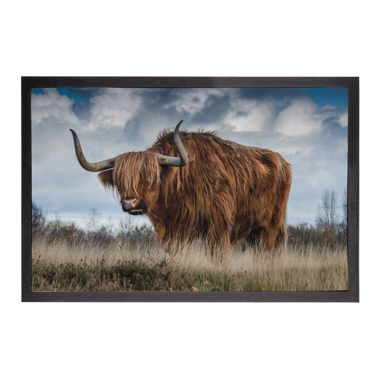 Tapis paillasson Taureau Highland déco faune sauvage 60x40cm pour maison