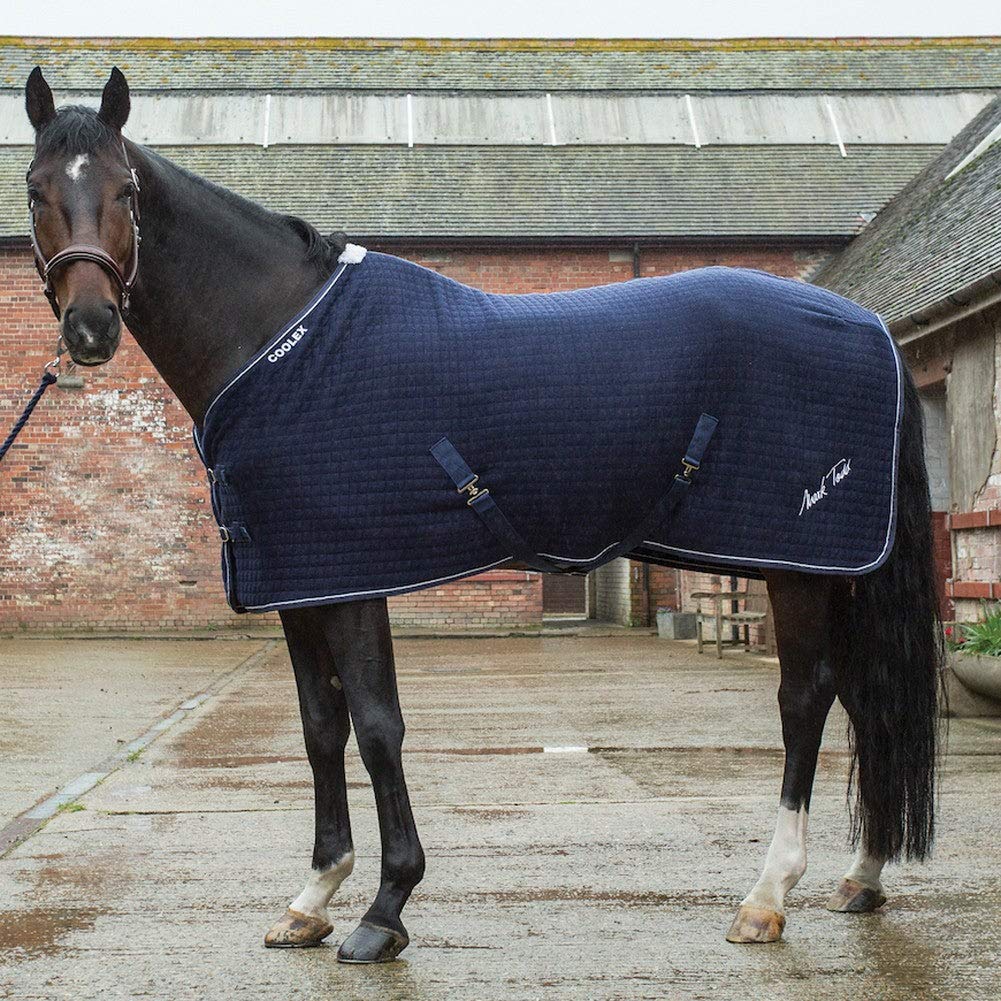 Mark ToddCollection Unisex's Mark Todd Coolex Cooler 895449, Navy/White, 6'0