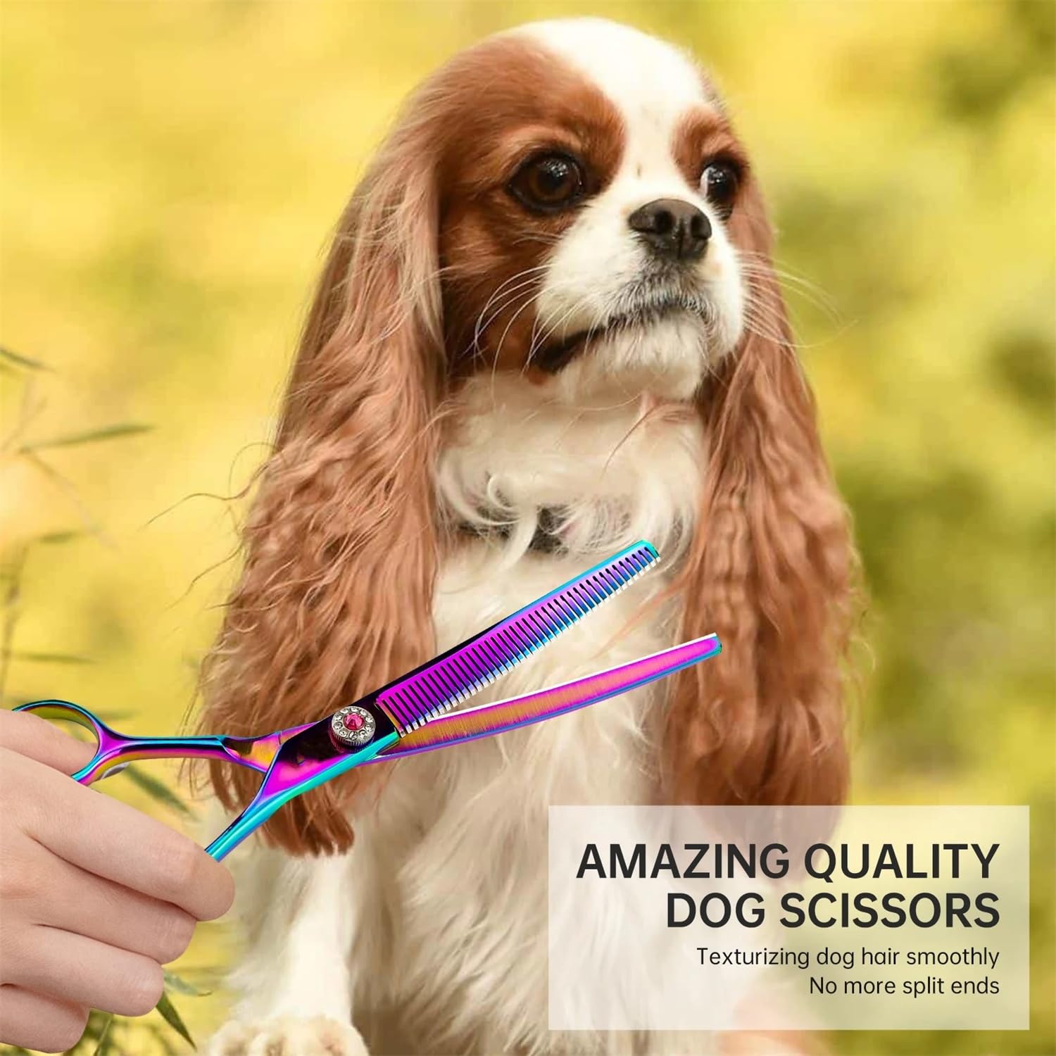 Ciseaux de toilettage 15 cm - Ciseaux incurvés professionnels - En acier inoxydable japonais - Pour chiens et chats - Réduction de 65 % d'épaisseur - Violet