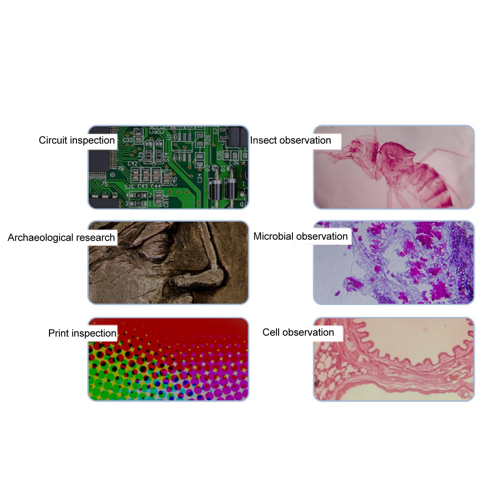 Mikroskop Cyfrowy, HD 4,3 Cala Mikroskop do Kontroli Wyraźnego Obrazu 16X Powiększenie Okularu Mikroskop Monetowy Zestaw Mikroskopu Biologicznego do Konserwacji Płytek (Wtyczka