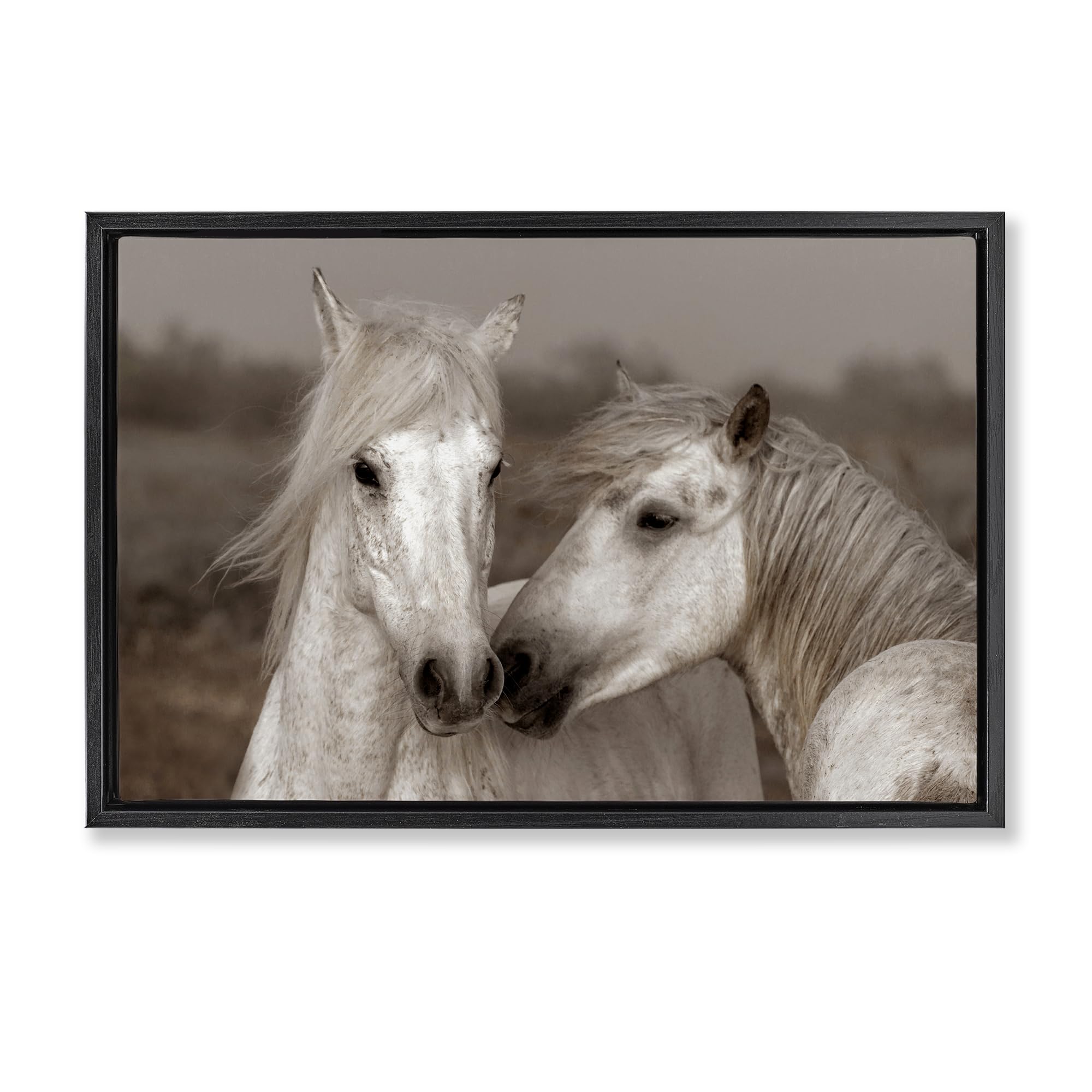 Stupell Industries Jet Black (Matte) 'Gentle Companionship Horses'| Floating Frame Canvas Art