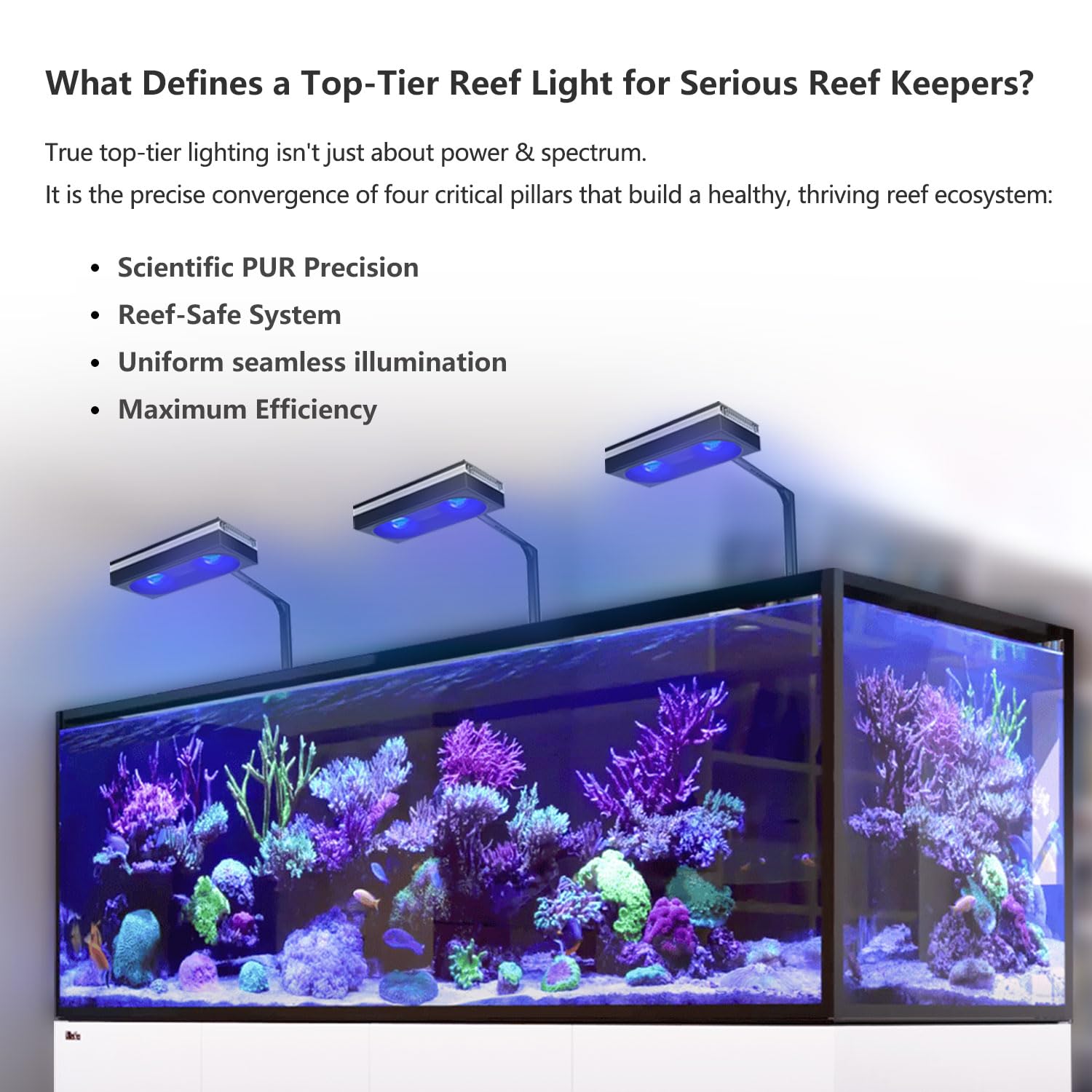 PopBloom RL180 WiFi Luz LED de Acuario Marino, Iluminación Acuario Marino para 80cm arrecife Coral Acuario de Peces,APP supporte l'espagnol