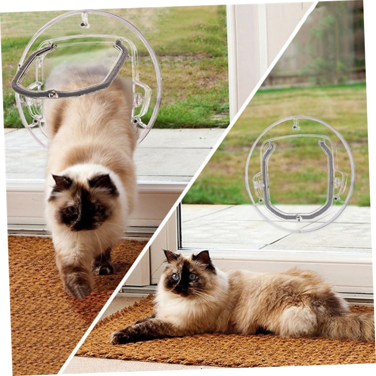 Transparente Steuerbare Katzenklappe und Ausgang, Kunststoff Weiß