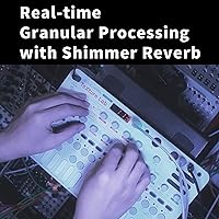 Vista 4 de Sonicware LIVEN Texture Lab Sintetizador granularprocesador de efectos 4 voces - hasta 64 granos, 6 reverberaciones de brillo, secuenciador de 128