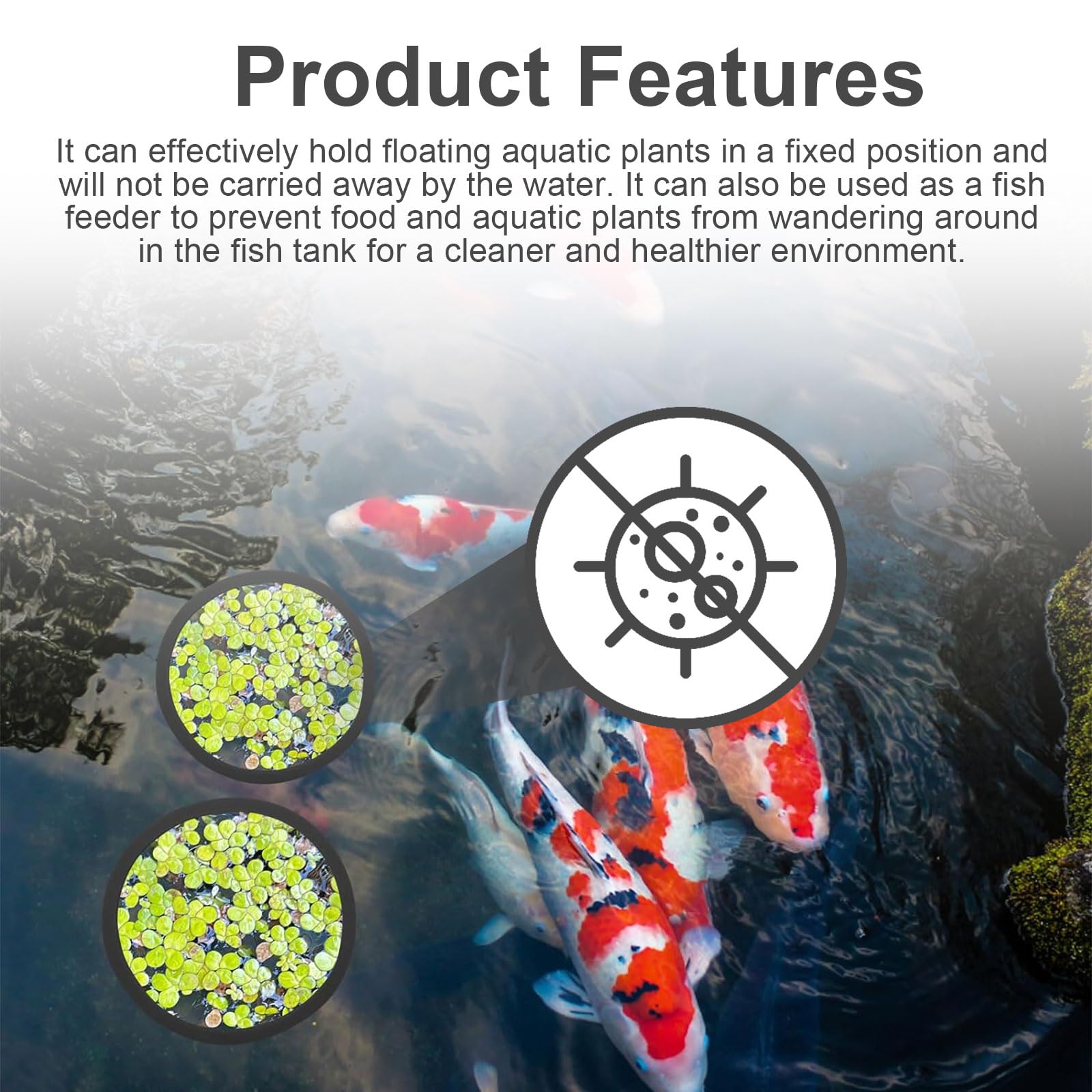 10 Anelli Galleggianti Per Acquario - Separatore Piante E Mangime Per Pesci