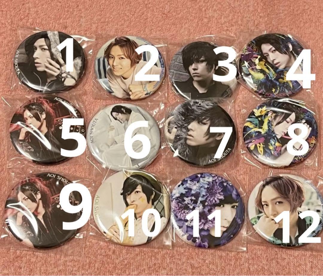 結月様　蒼井翔太　缶バッチ　13個 Amazon.co.jp: 蒼井翔太 ライブグッズ 缶バッジ : おもちゃ