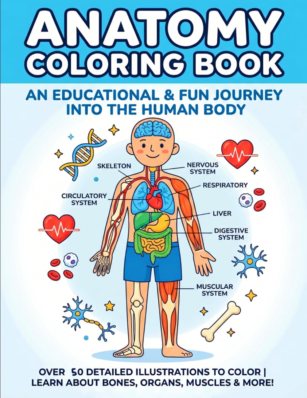 Anatomy Coloring Book: A Relaxing and Educational Journey Through the Human Body | Detailed Anatomy for Adults, Students & Beginners