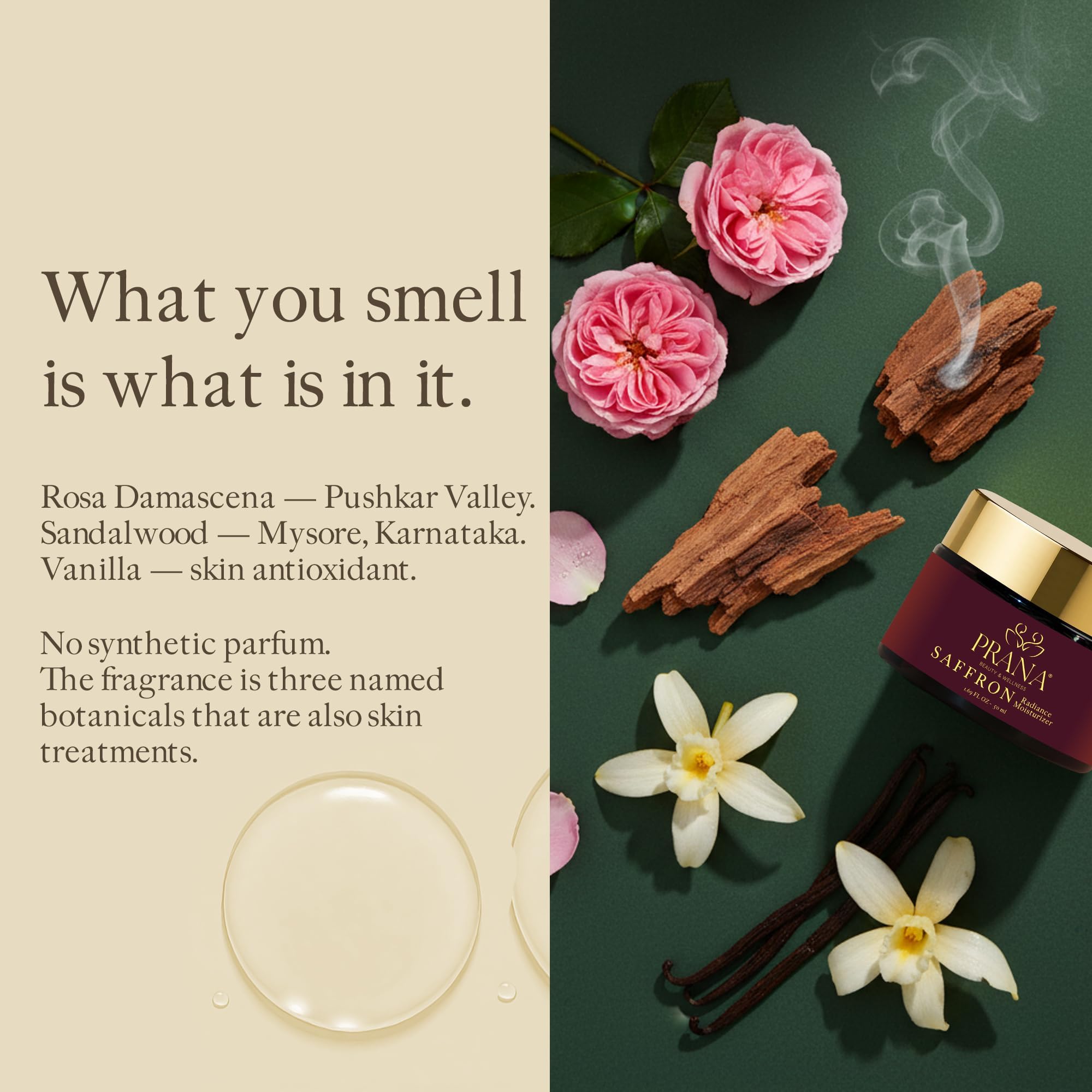 Prana Ashwagandha Crème hydratante de jour - 50 ml - Soin naturel de la peau - Ingrédients ayurvédiques - Hydratation optimale - Sans parfum - Infusé avec de l'ashwagandha bio - Crème pour le visage