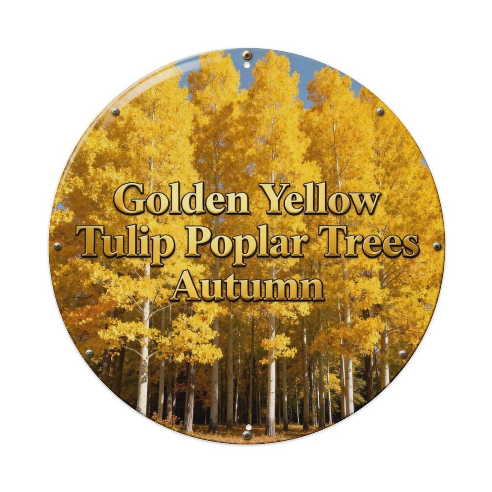 Golden Yellow Tulip Poplar Trees Autumn Metal Tin Sign Plaque