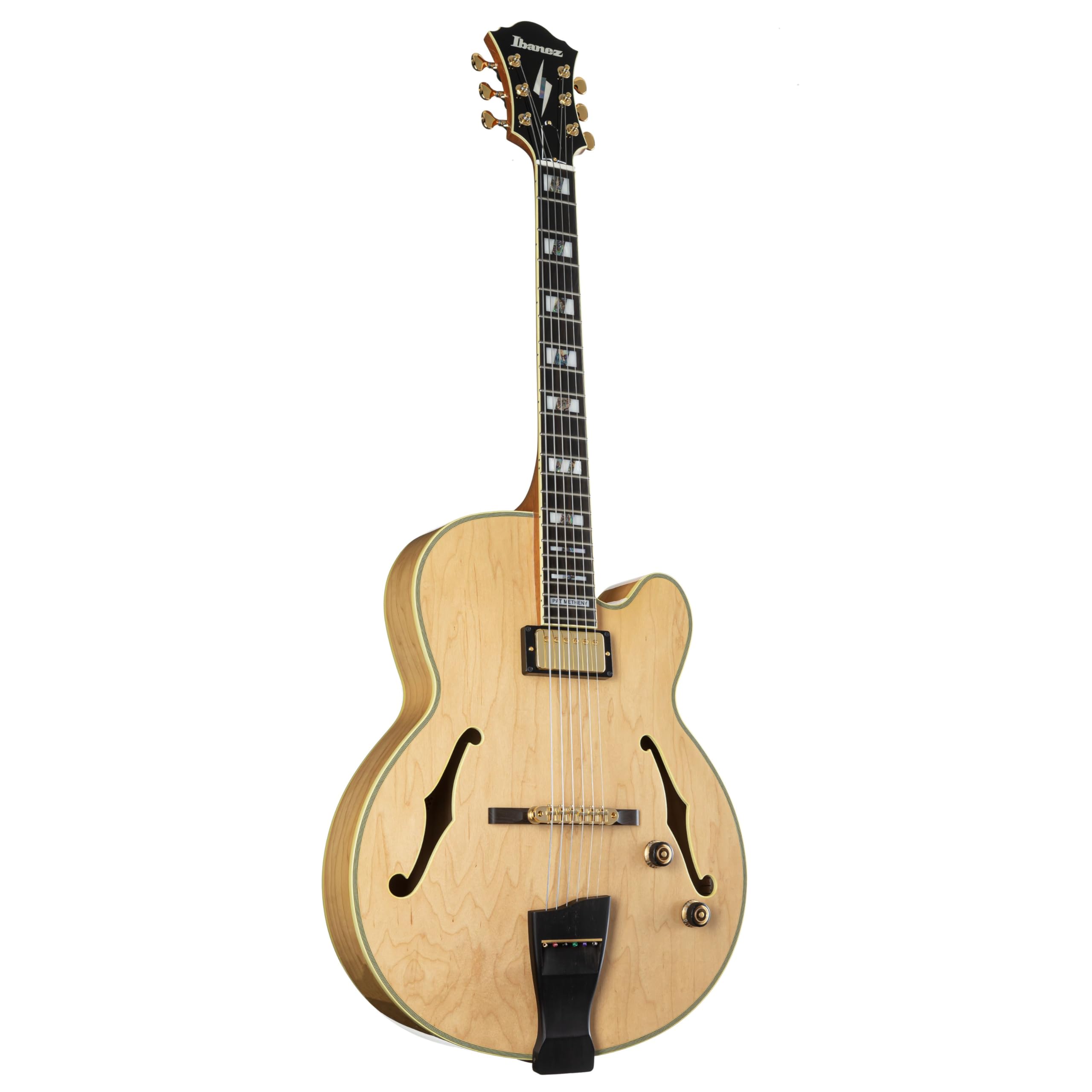 Amazon.com: Ibanez PM200 Pat Metheny Signature Hollwbody Electric