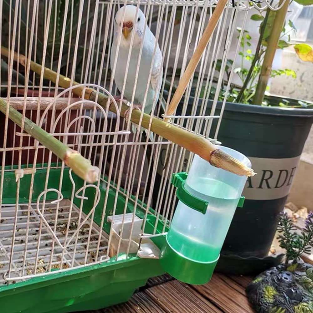 10L Pigeon Water Dispenser Feeder - Automatic Bird Drinker For Quail, Dove, Chicken, Parrot (White)