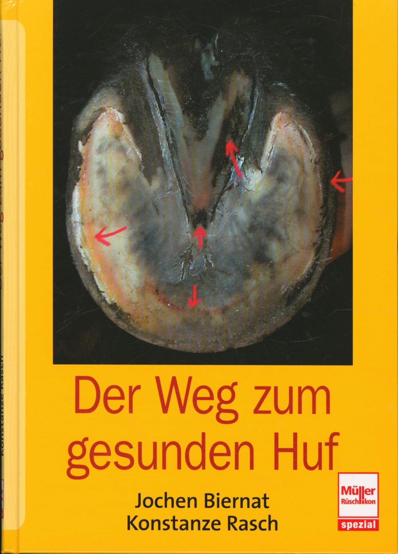 Der Weg zum gesunden Huf: Die neue Huflehre
