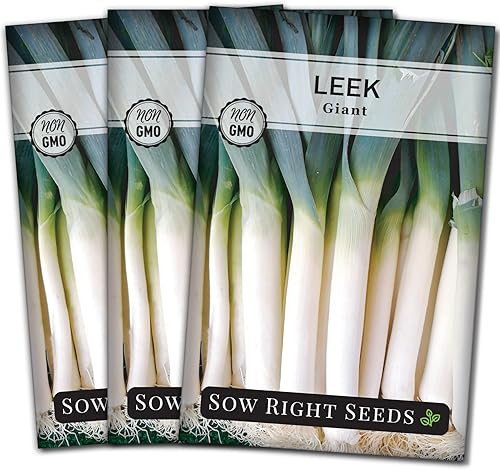 Vista 8 de Sow Right Seeds - Semillas de puerro gigantes para plantar - Paquete de reliquia sin OMG con instrucciones para plantar y cultivar un huerto