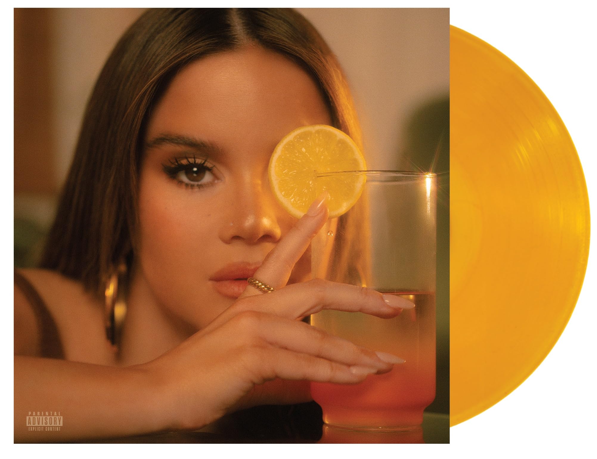 D R E A M S I C L E [VINYL]
