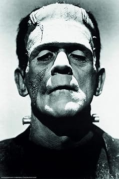 Close Up Frankenstein Poster Boris Karloff 24"x36"