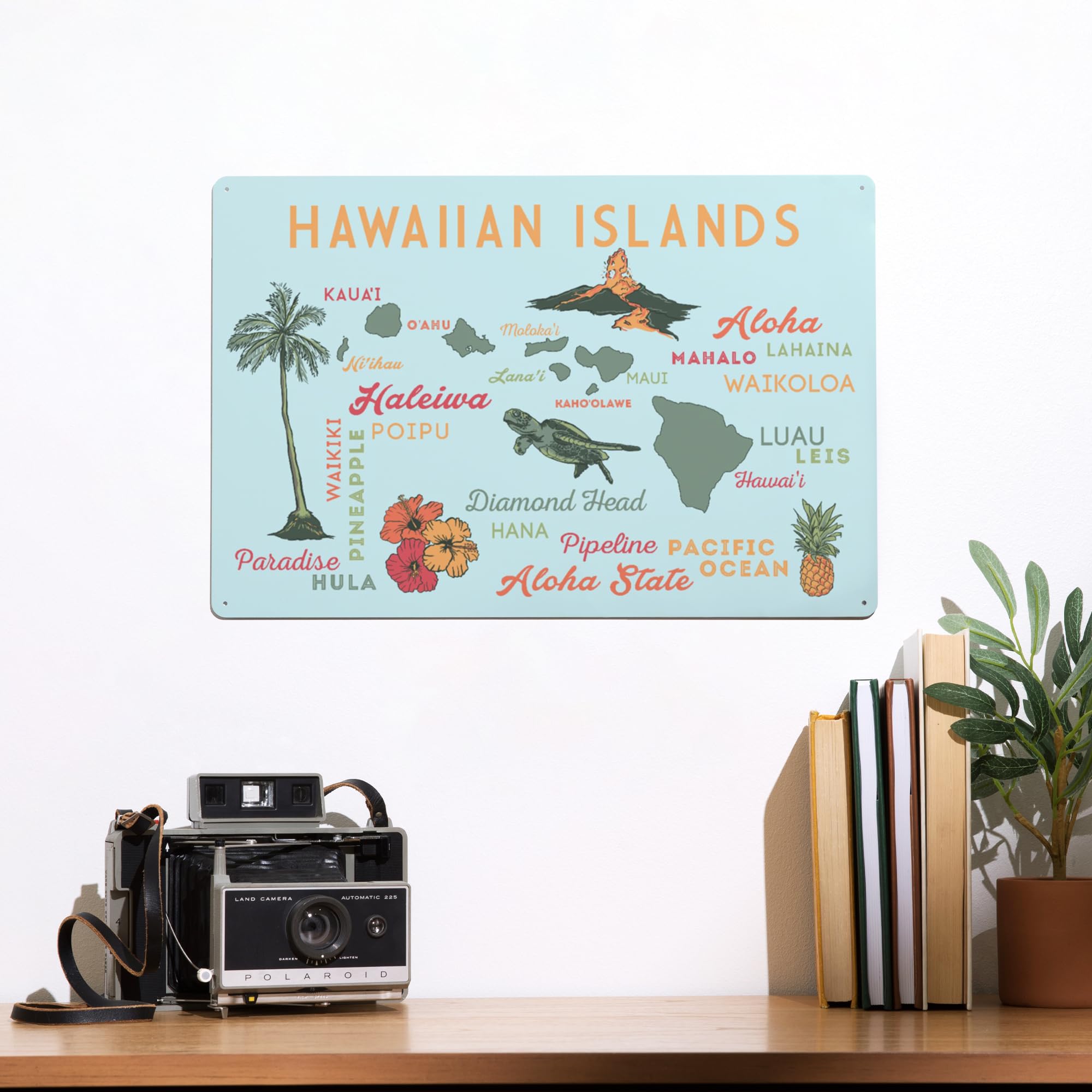 Amazon.com: Lantern Press 12x18 Inch Metal Sign, Hawaiian Islands