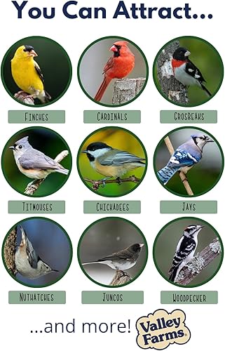 Miniatura 3 de Super Deluxe Wild Bird Food - La mejor mezcla de semillas de aves silvestres (15 libras)