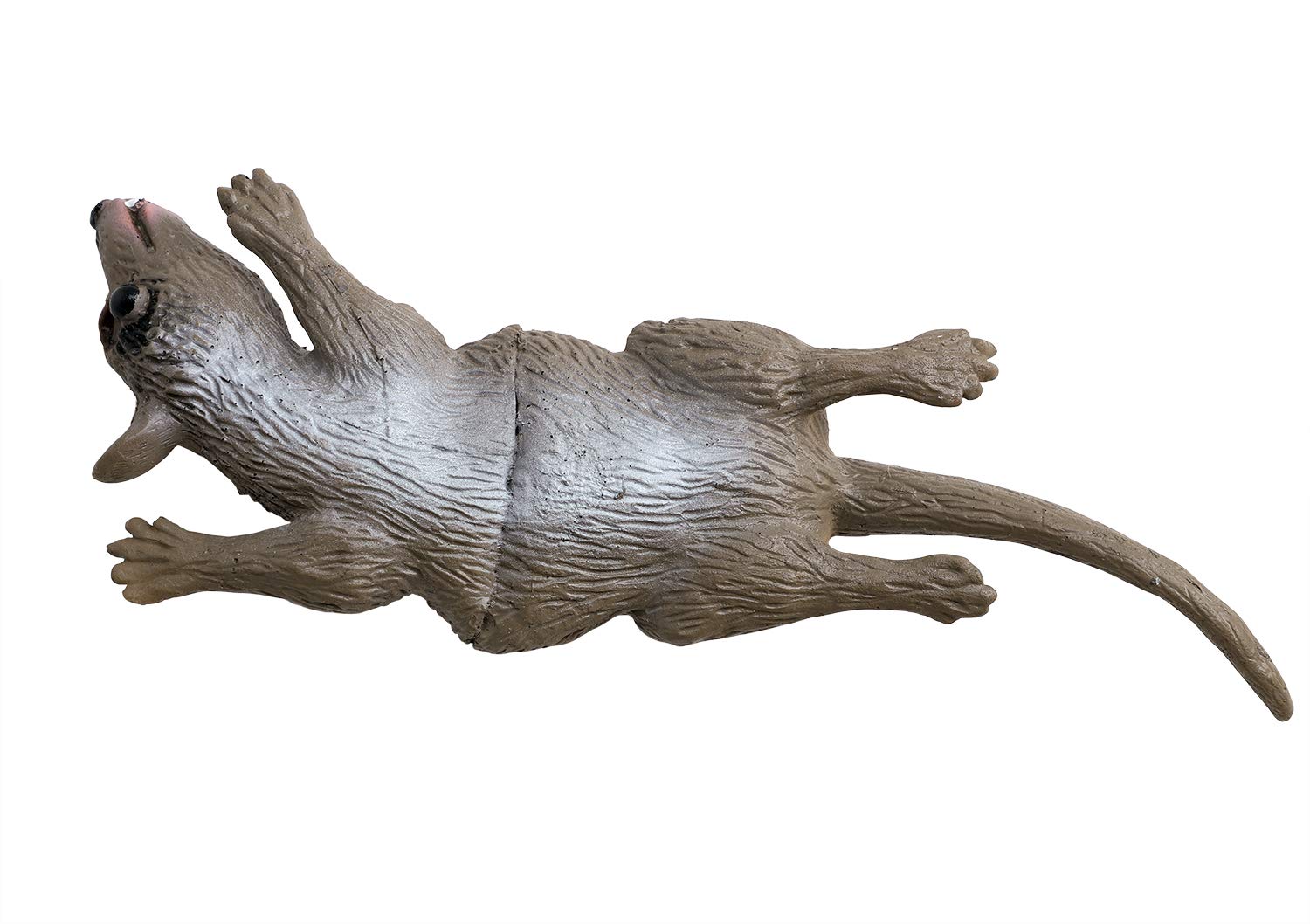 Suchergebnis Auf Für: Halloween Ratte Deko