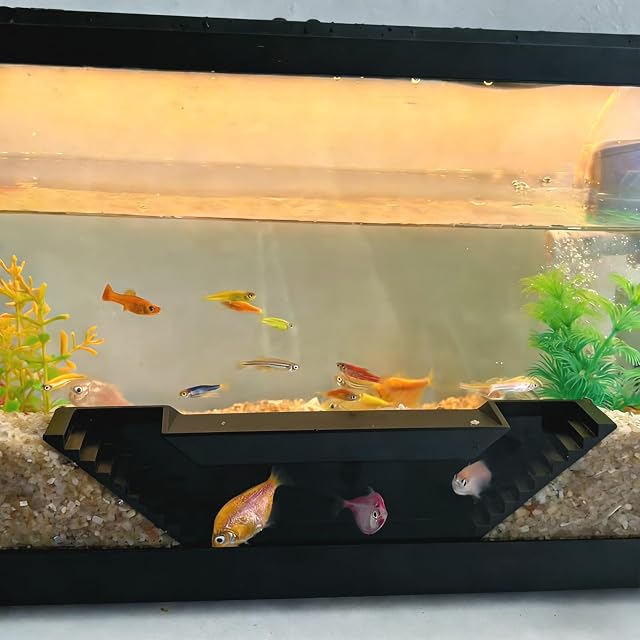 Foto 7 de 7 de LIULINY 2 PCS 360° Acuario Túnel Subterráneo 2 Tamaños 12*12*4 21*4*5,3cm