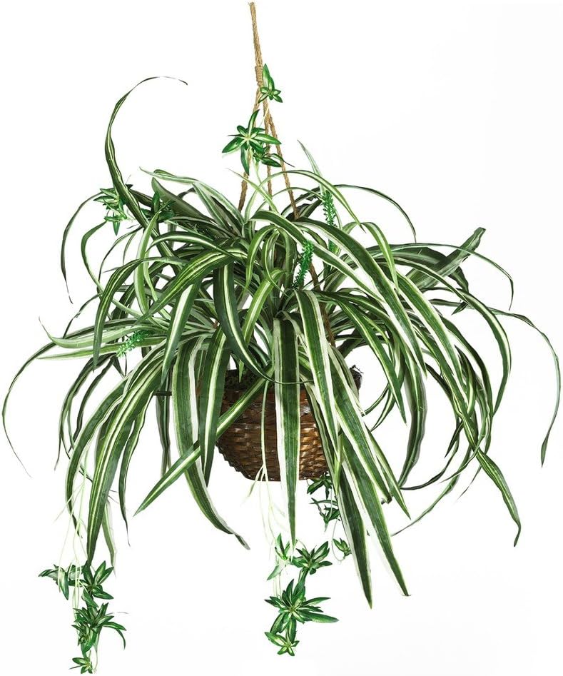 Nearly Natural 6607 Spider Hanging Basket Decorative Silk Plant, Green,10.25" x 10.25" x 17.5"
