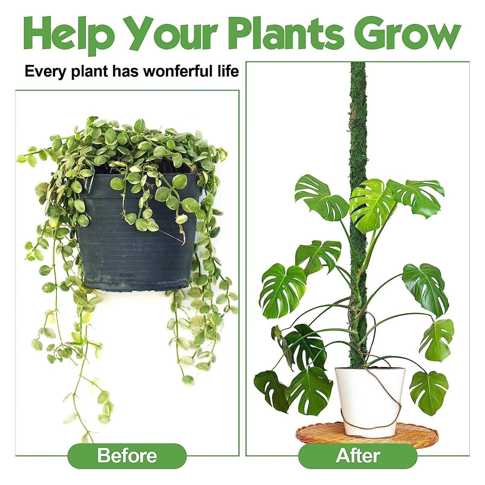 Tuteur Plante Poteau en Mousse Pliable for Plantes, 1 pièce, poteaux Monstera for piquets de Plantes grimpantes for l'intérieur, Support