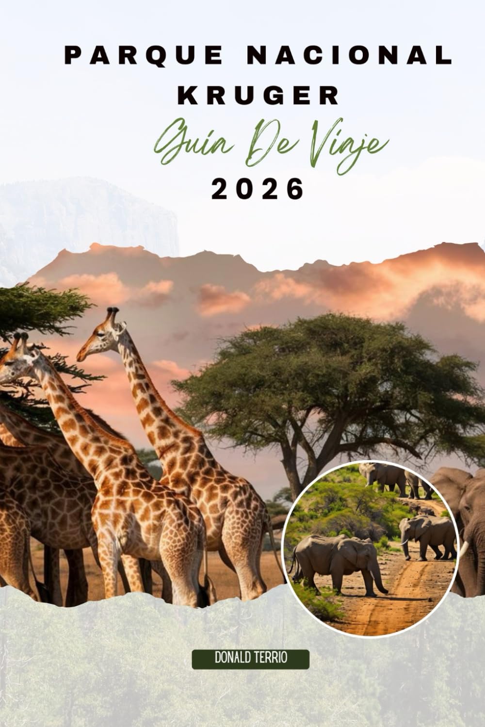Parque Nacional Kruger GUÍA DE VIAJE 2026: Explora rutas de safari, encuentros con la fauna, avistamientos de las Big Five y experiencias culturales en Sudáfrica