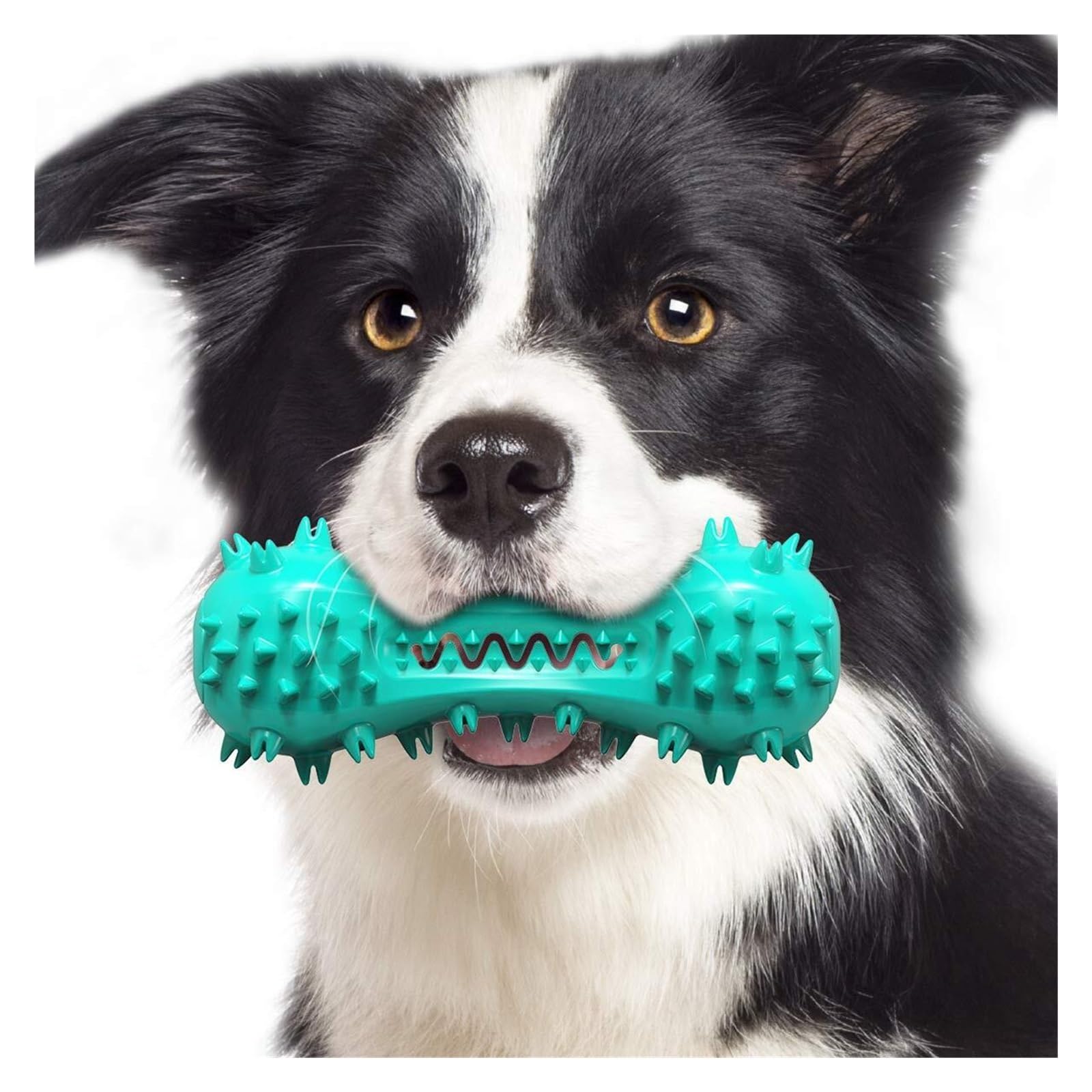 Jouet à mâcher durable pour chien agressif Jouet flottant avec couineur pour nettoyage des dents Convient aux chiens de petite, moyenne et grande taille