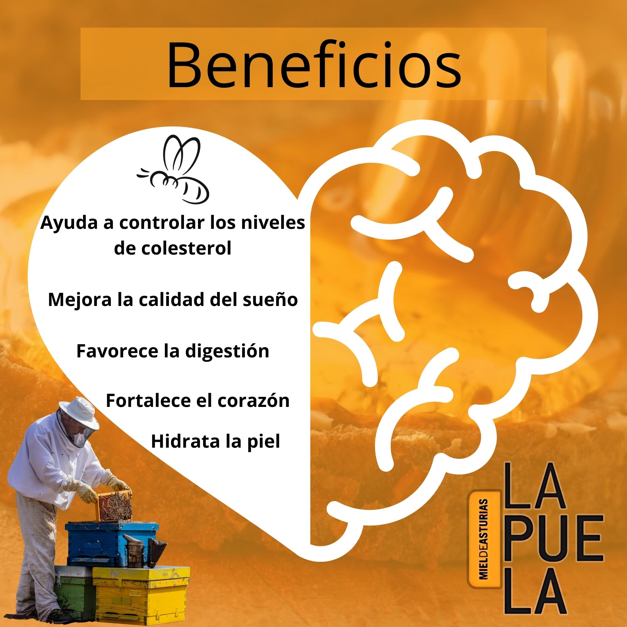 LAPUELA Pack Miel 100% Natural – Sabores Únicos con Beneficios Saludables – Miel Pura Cruda y Artesanal – Producción Tradicional Asturias (2460, Eucalipto/Roble/Brezo/Bosque/Castaño/Madroño)