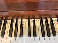 Review Image by L. Trotter L. Trotter