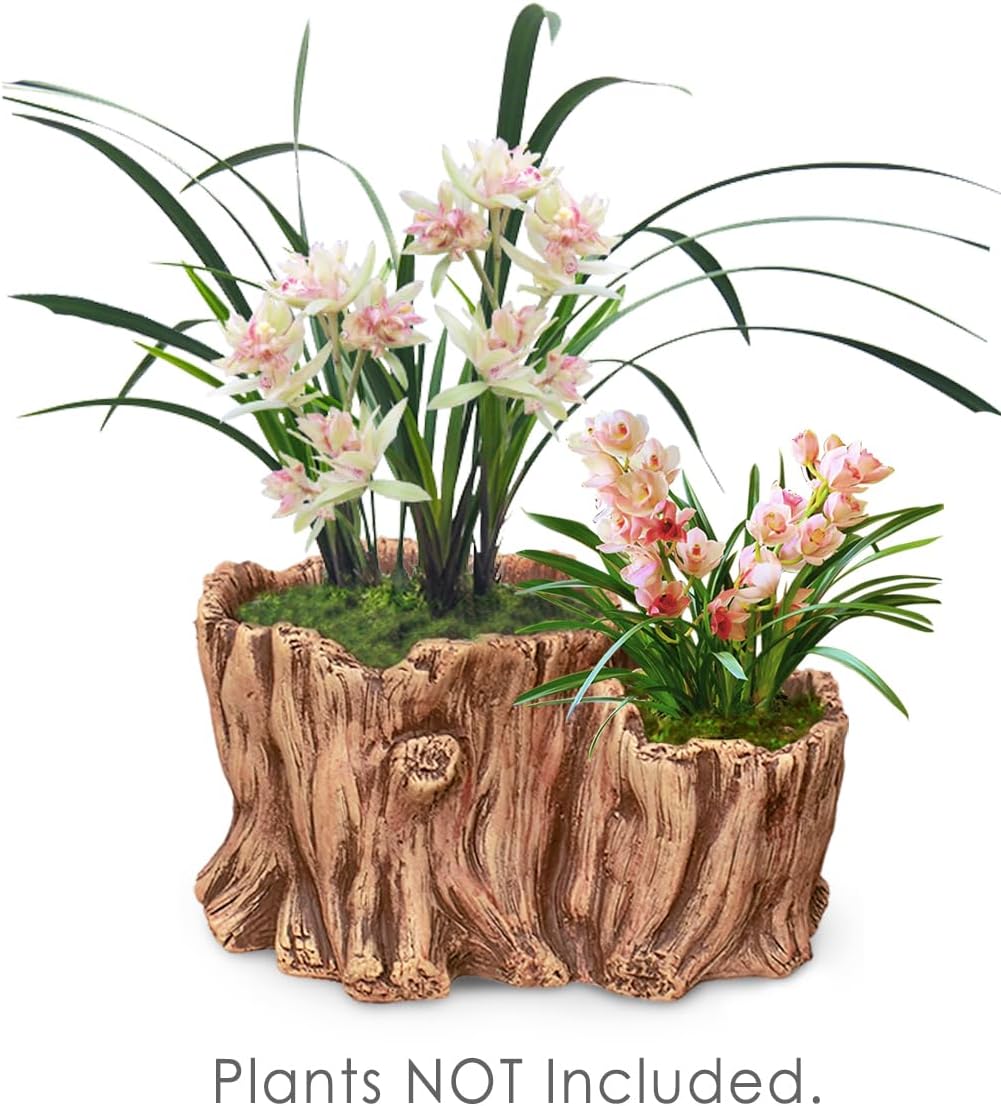 Classic Rectangular Concrete Indoor Succulent Planter with Drainage Hole