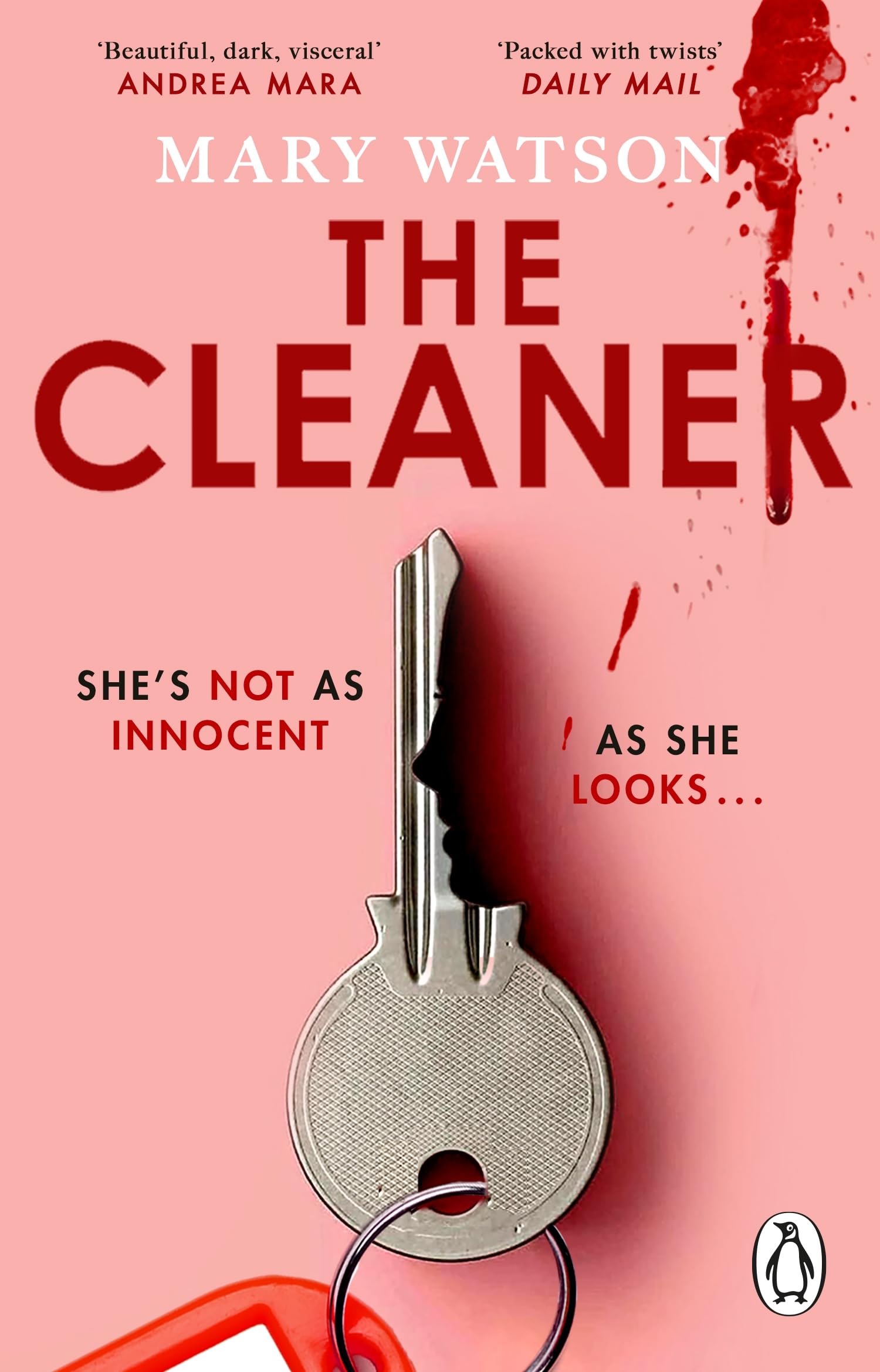 The Cleaner: The most addictive, page-turning new thriller of 2025