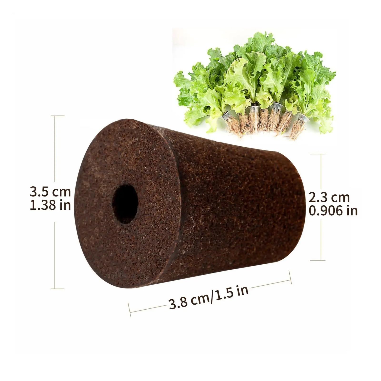 Esponjas De Cultivo Kit de Cultivo vainas iniciación Semillas, esponjas hidropónicas Repuesto, Medio Crecimiento raíces for Sistema clonación germinación, Plantas jardín, 50 Uds