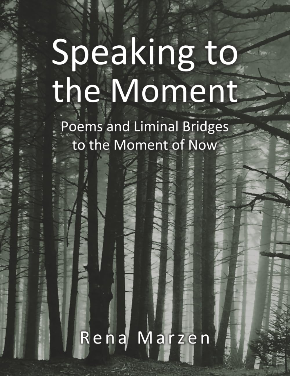 Speaking to the Moment: Poems and Liminal Bridges to the Moment of Now