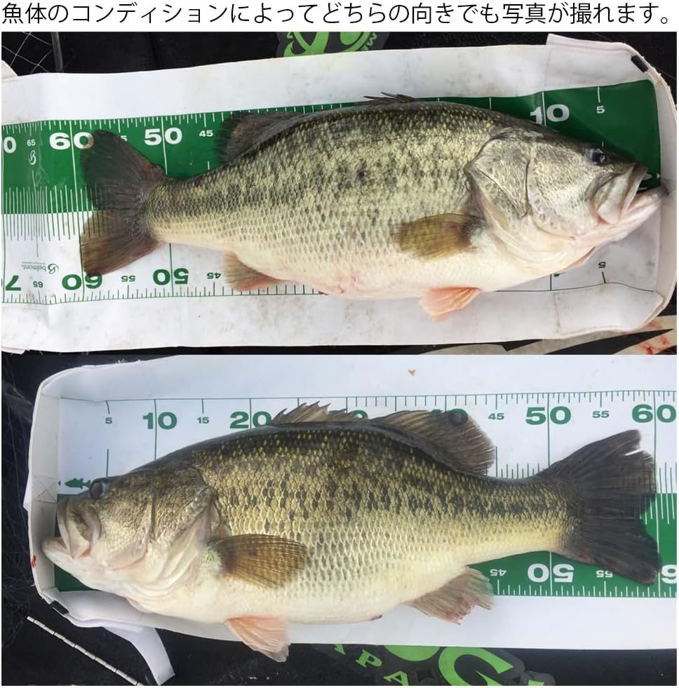 Belmont MR-027 Nana Go Scale