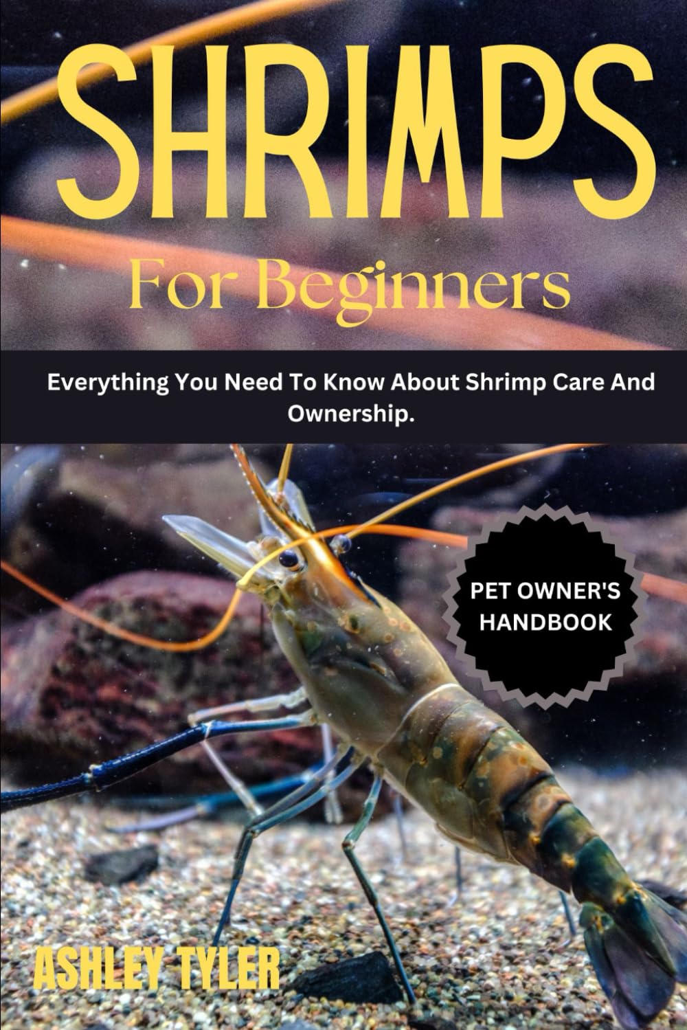 SHRIMPS FOR BEGINNERS: Everything You Need To Know About Shrimp Care And Ownership.
