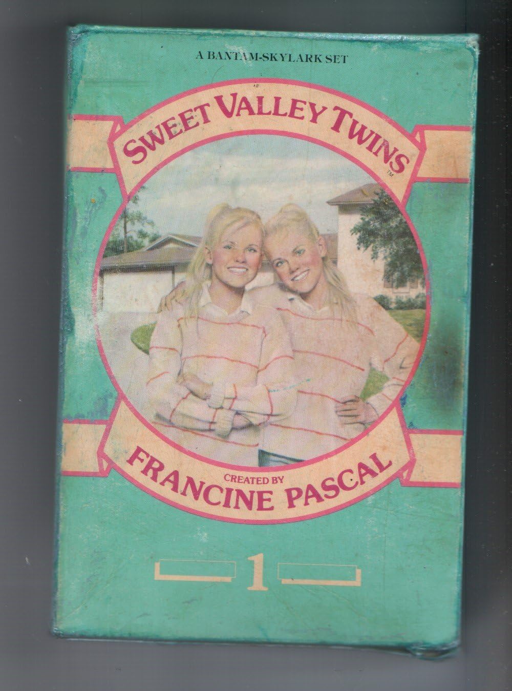 Sweet Valley Twins Boxed Set 1, Books 1-4 Paperback – Box set, January 1, 1992