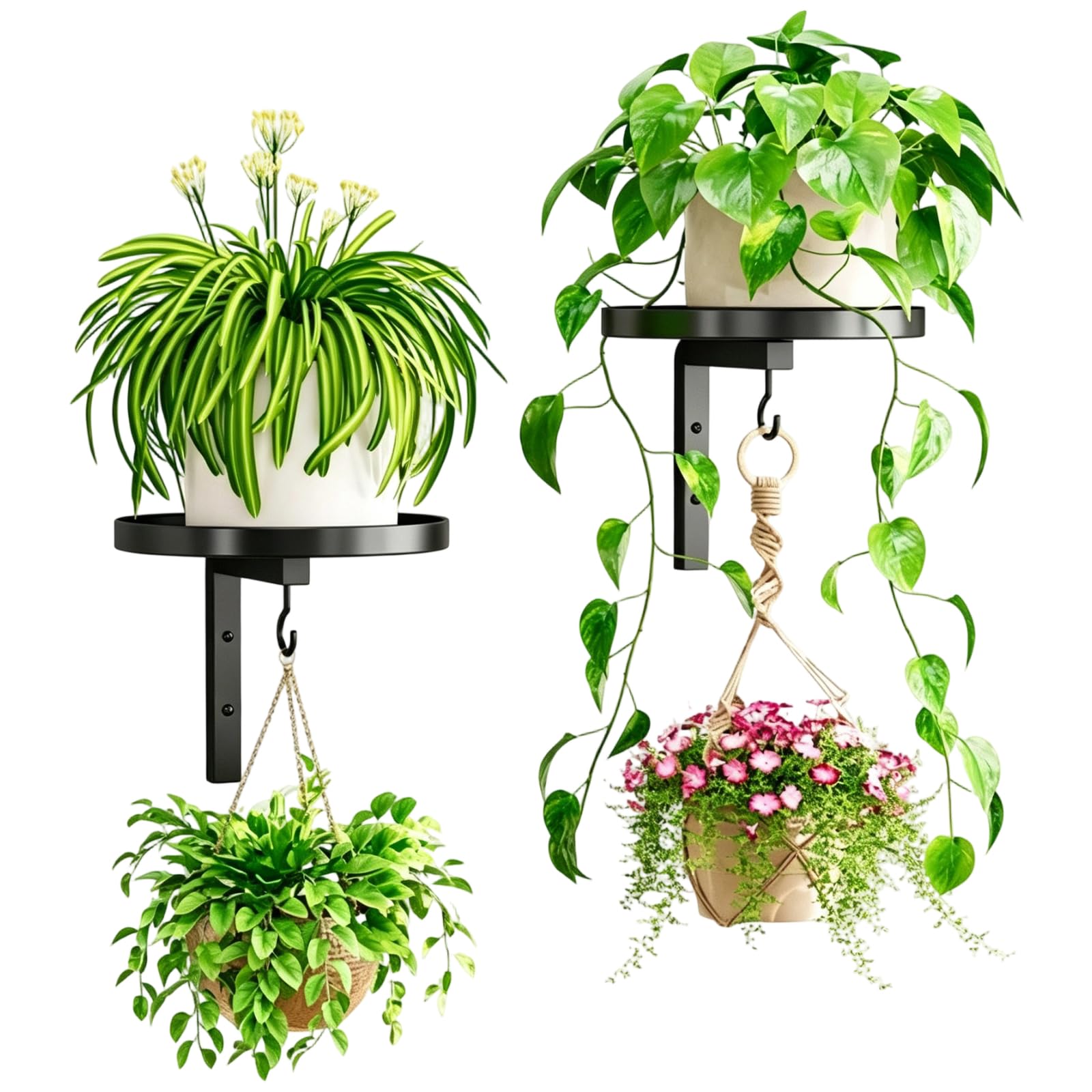 PAPAcroscoma 2 PCS Black Plant Stand Wall Plant Holder with Hook