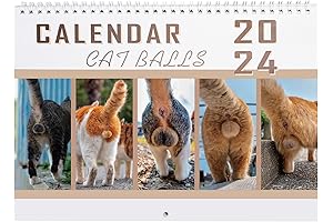 2024 Funny Cats Wall Calendar: 12 Months of Cat-itude for Laughter All Year Round