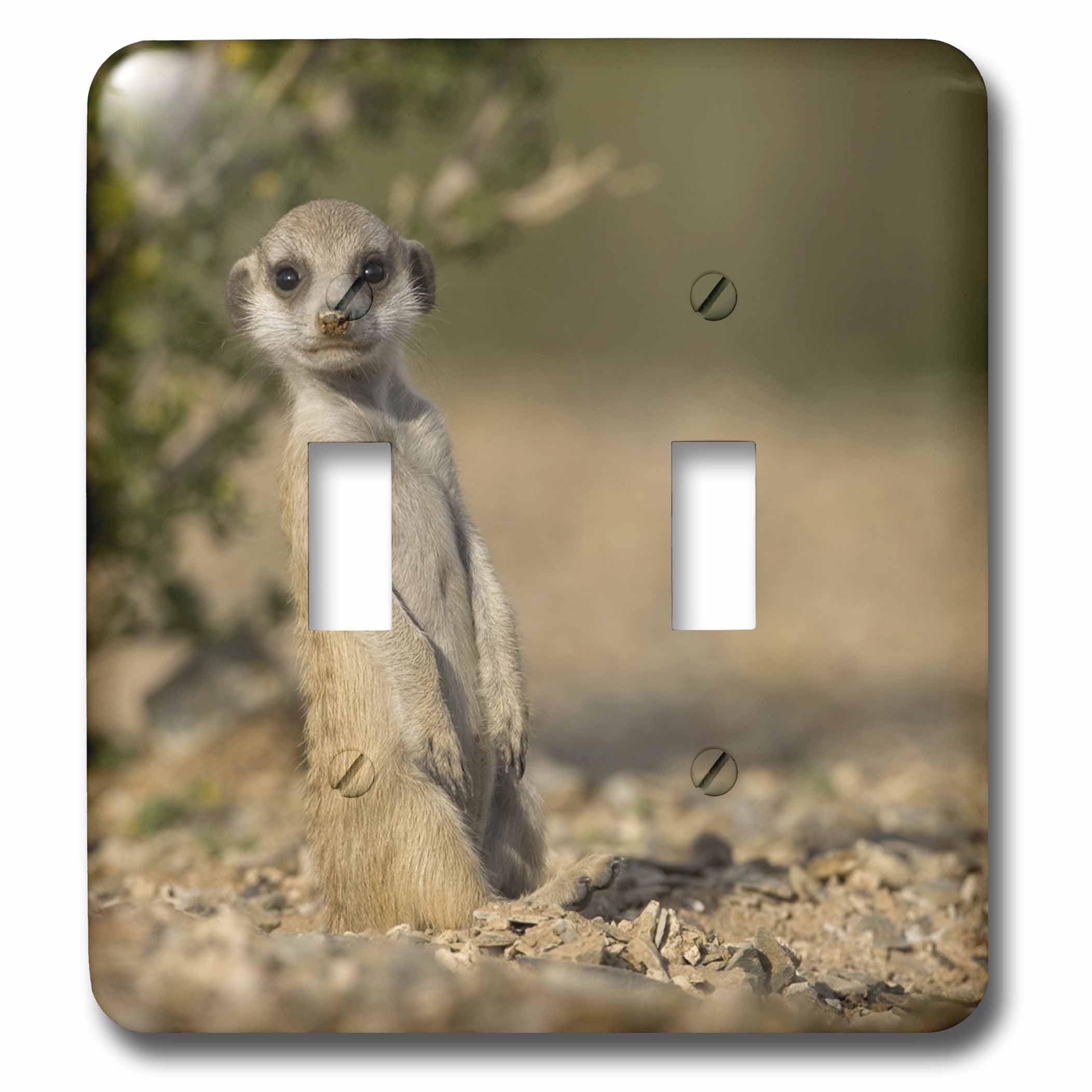 Suricate Namibie double interrupteur à bascule mangouste désert Keetmanshoop 3dRose