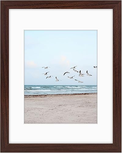 Vista 276 de Frametory, Los marcos de 16 x 20 pulgadas muestran imágenes de 11 x 14 pulgadas con paspartú o fotos de 16 x 20 pulgadas sin paspartú, vidrio Plata